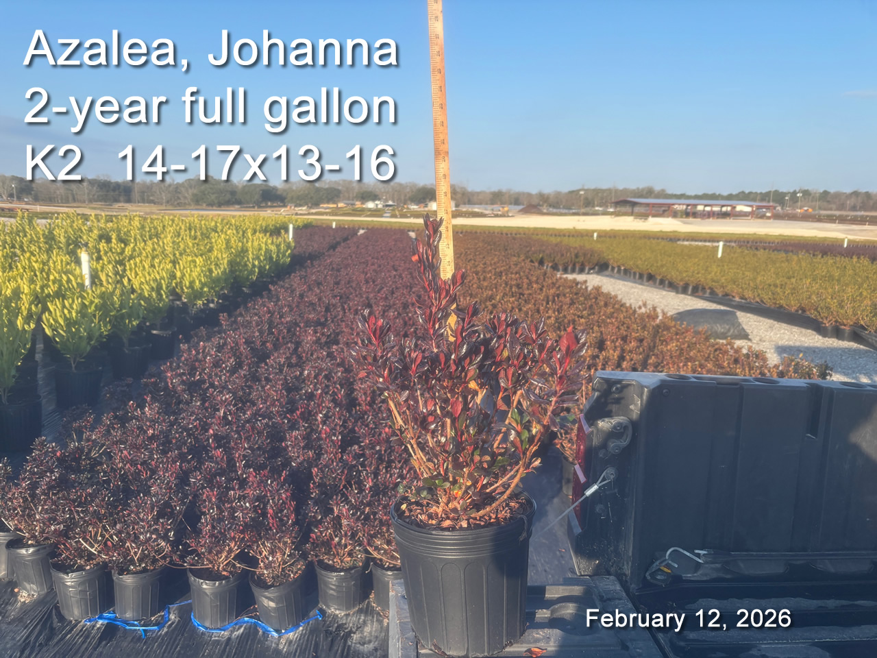 gallery/jh2yf k2 feb12.jpg